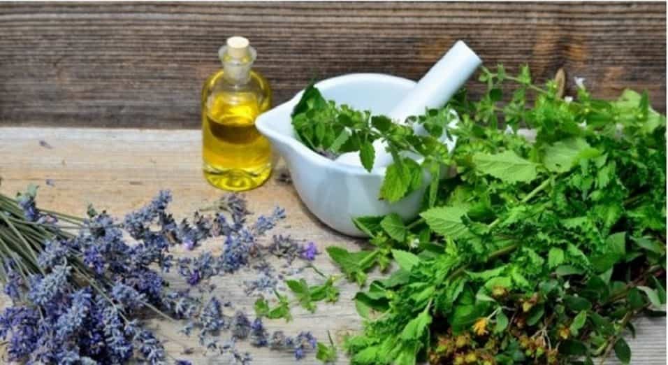 Erbe per depurare i polmoni