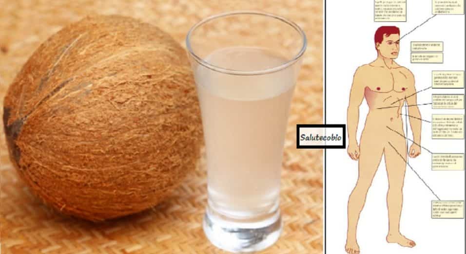 Acqua di cocco quando berla