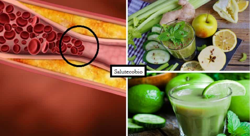 Centrifugati anticolesterolo