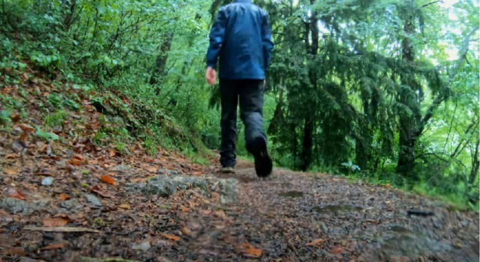 Camminare mezz'ora al giorno