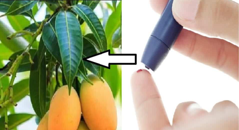 Mango e diabete