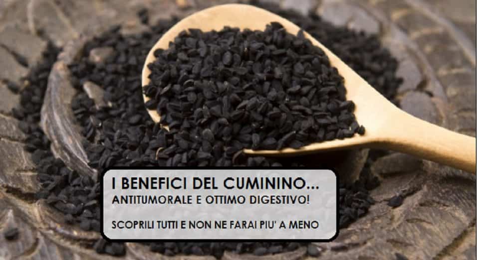 Cumino nero