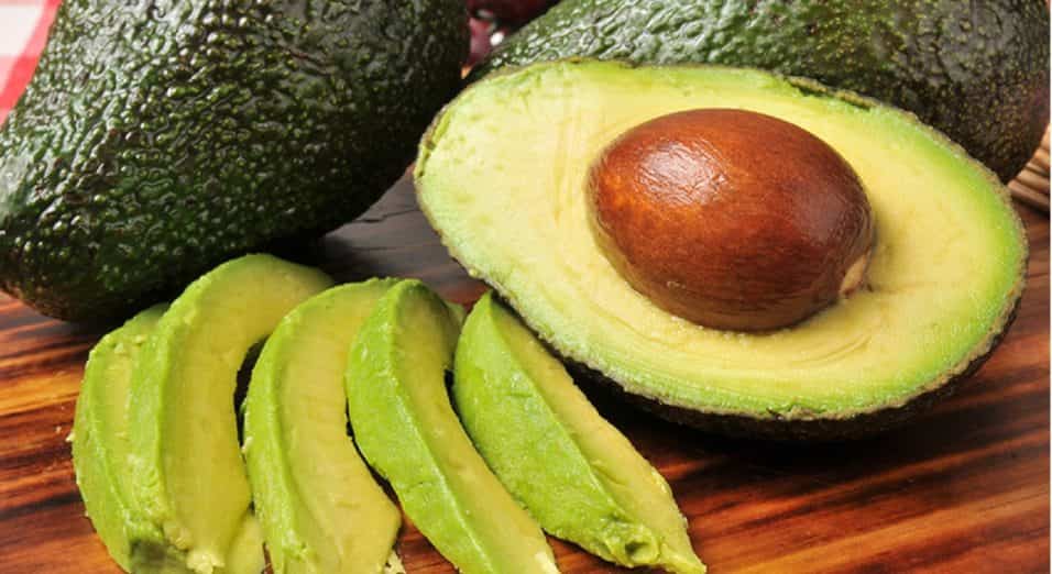 Avocado proteine
