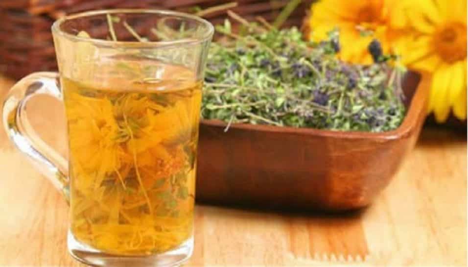 Pianta di timo curativa infuso