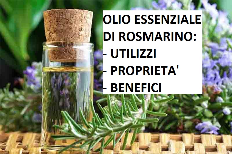 oilo essenziale di rosmarino utilizzi proprietà e benefici