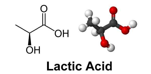 acido lattico cos'è