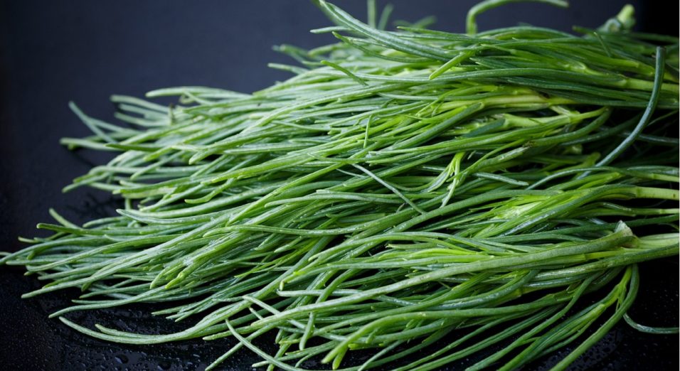 Agretti proprietà nutrizionali e benefici
