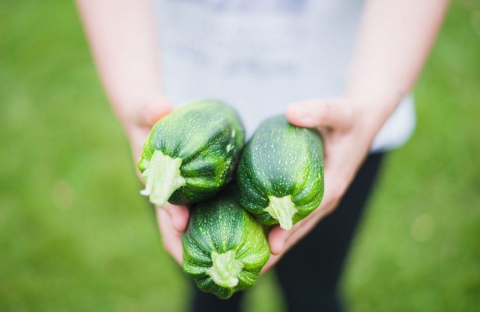 Tutto sulle zucchine: Proprietà, valori nutrizionali, perchè fanno bene e come si cucinano
