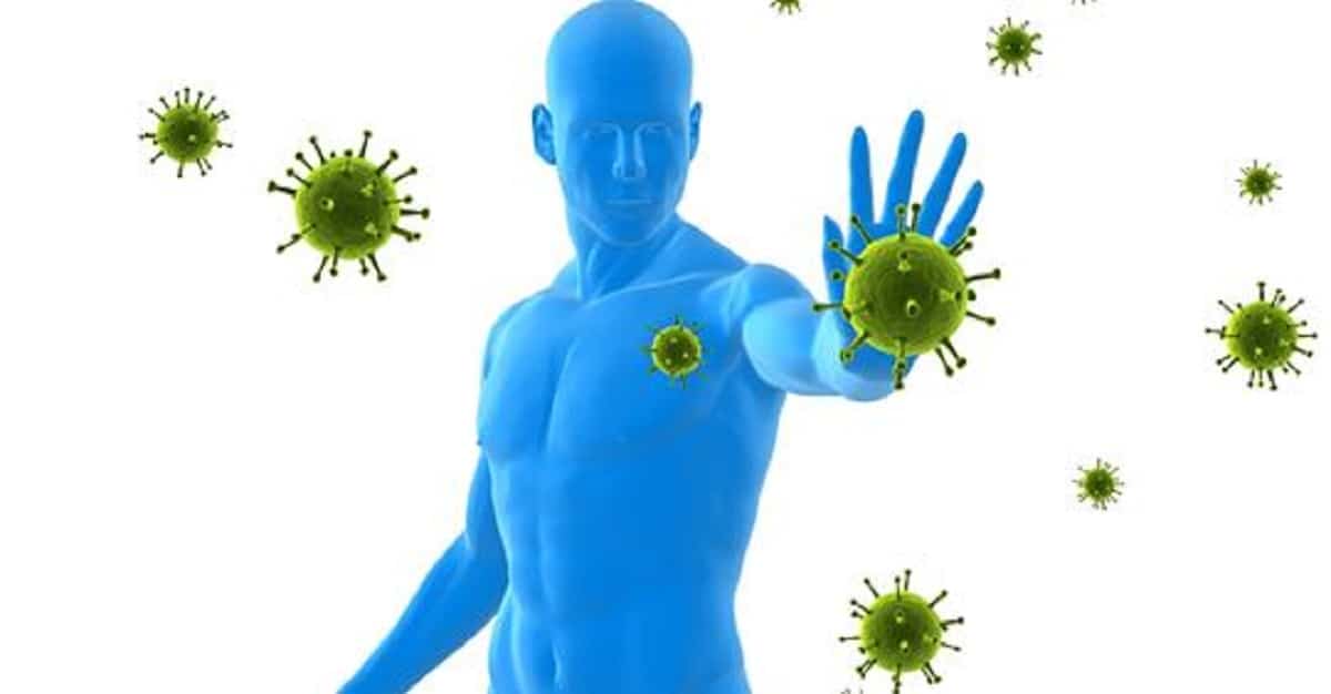integratori naturali per rafforzare il sistema immunitario