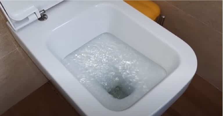 Video Stimolanti Per Fare La Cacca