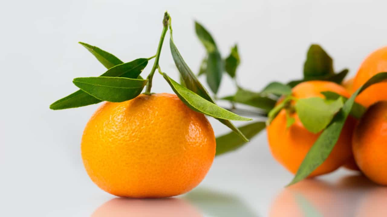 Mandarini clementine