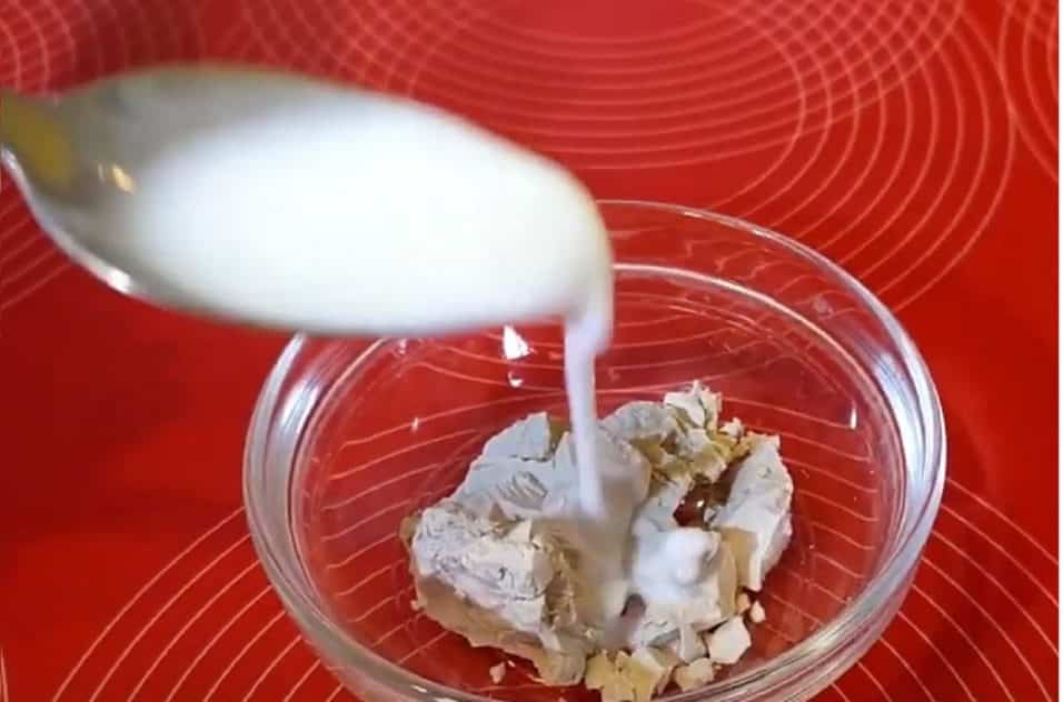 Lievito di birra e yogurt