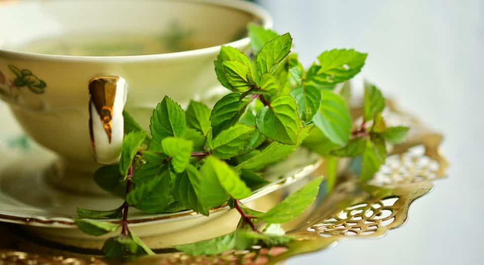 Tisana alla menta piperita