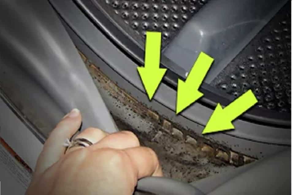 Muffa nella guarnizione della lavatrice