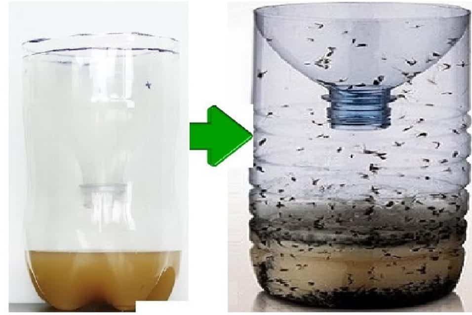 Trappola per zanzare fai da te