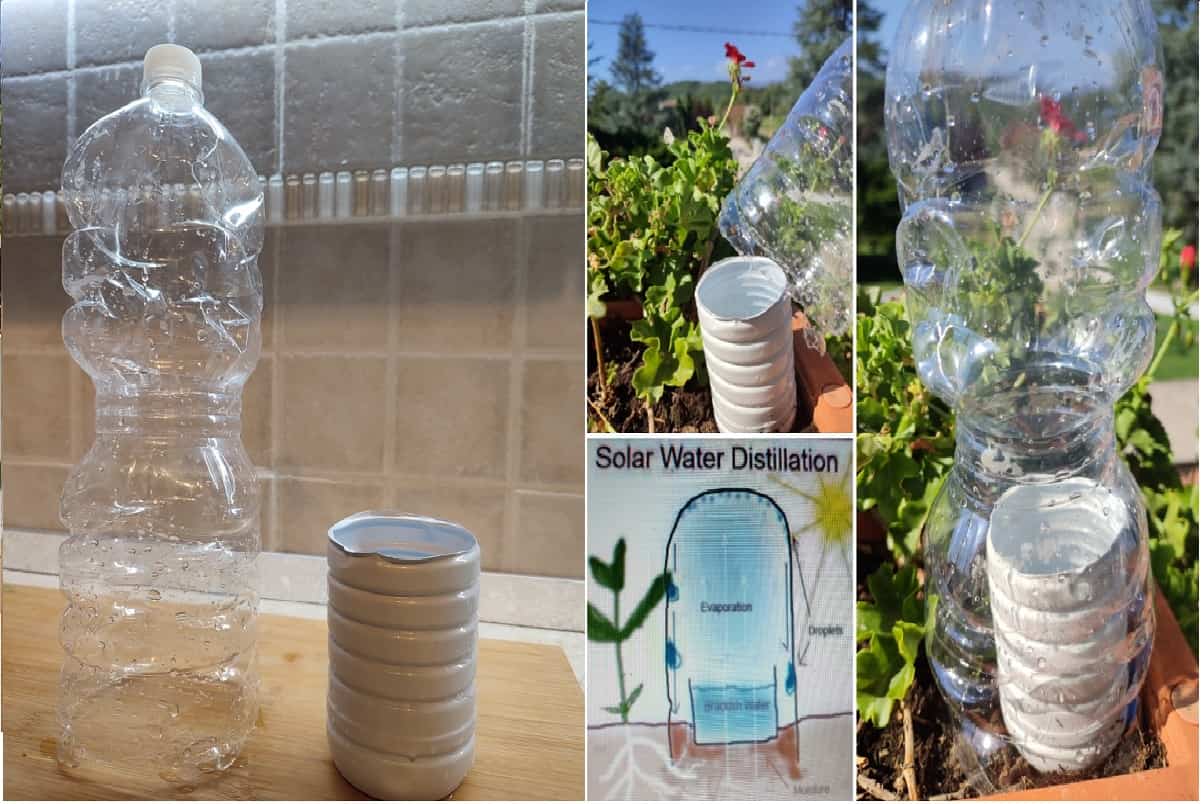 Innaffiare le piante con la tecnica delle bottiglie