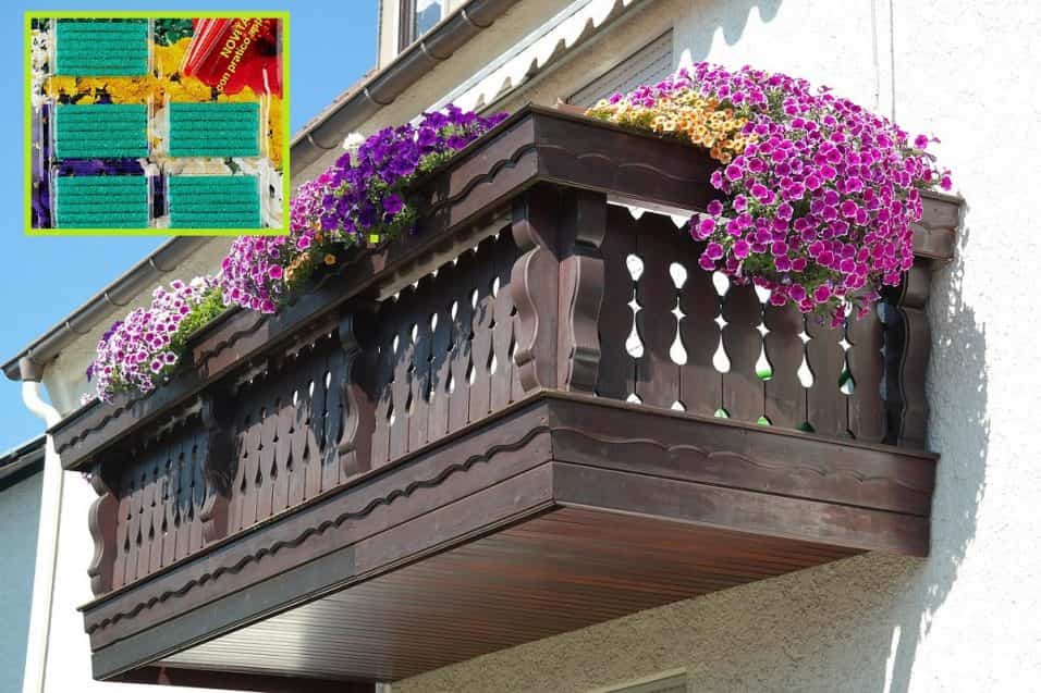 Bastoncini concimanti per piante e fiori