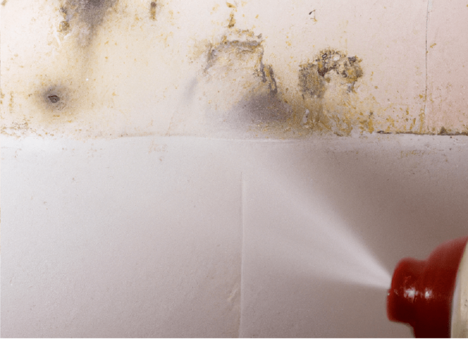 Spray antimuffa fai da te in bagno