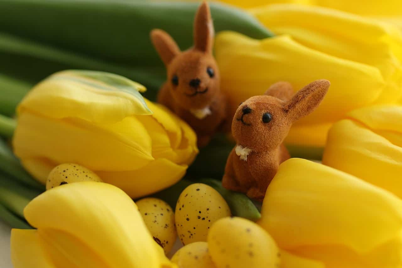 Coniglietti e Fiori Pasquali