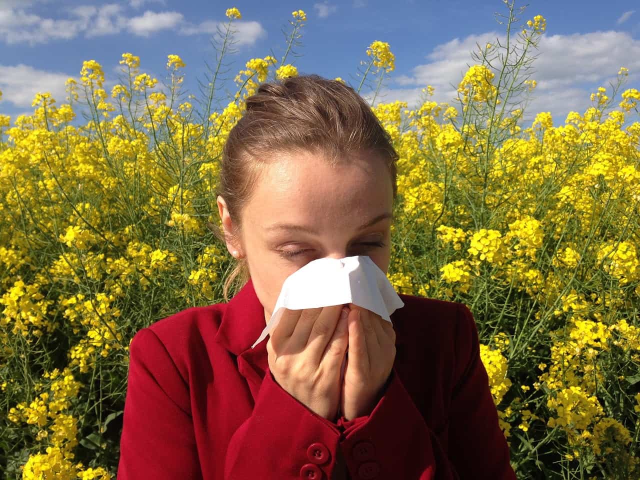 Polline come difendersi dalle allergie primaverili