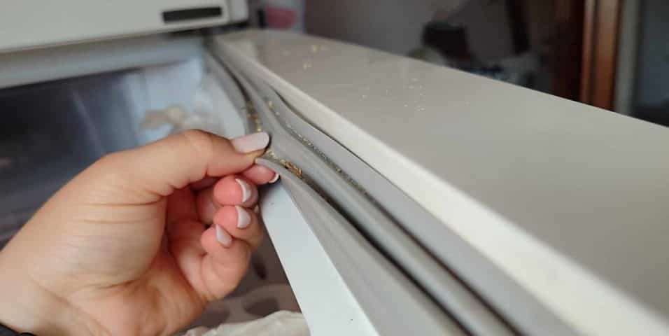 Guarnizioni del Frigorifero