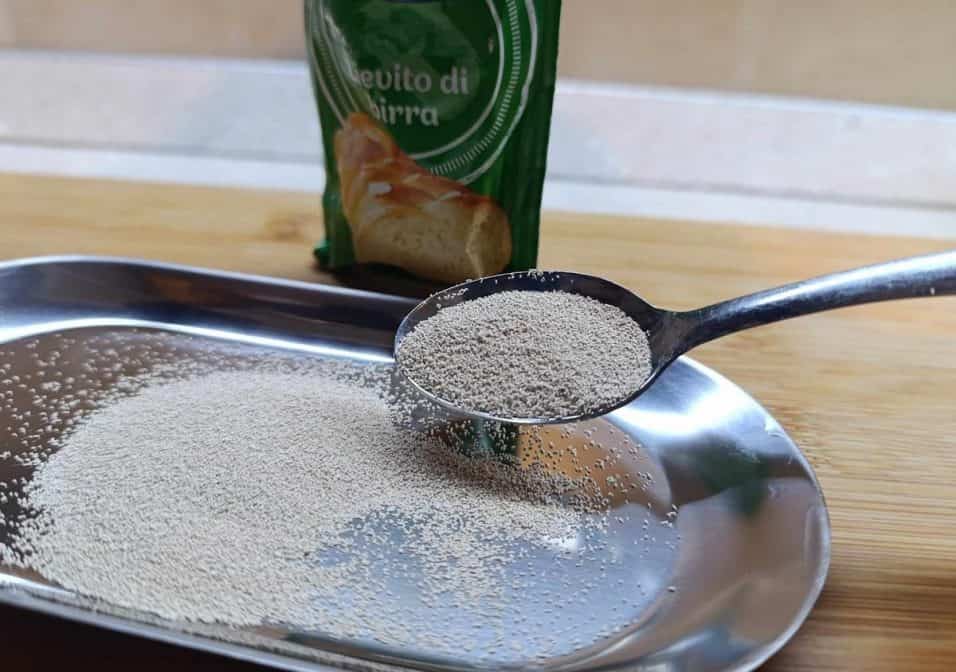 Immagine di un barattolo di lievito scaduto, utilizzato come fertilizzante naturale per piante