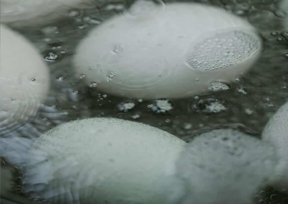 Acqua di cottura delle uova