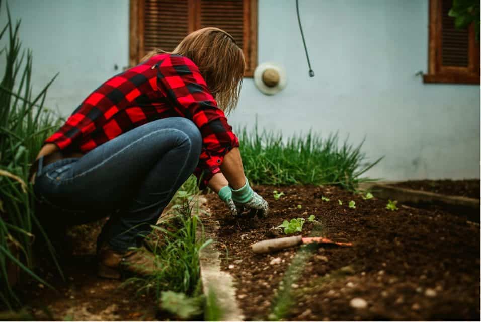 Preparare il terreno