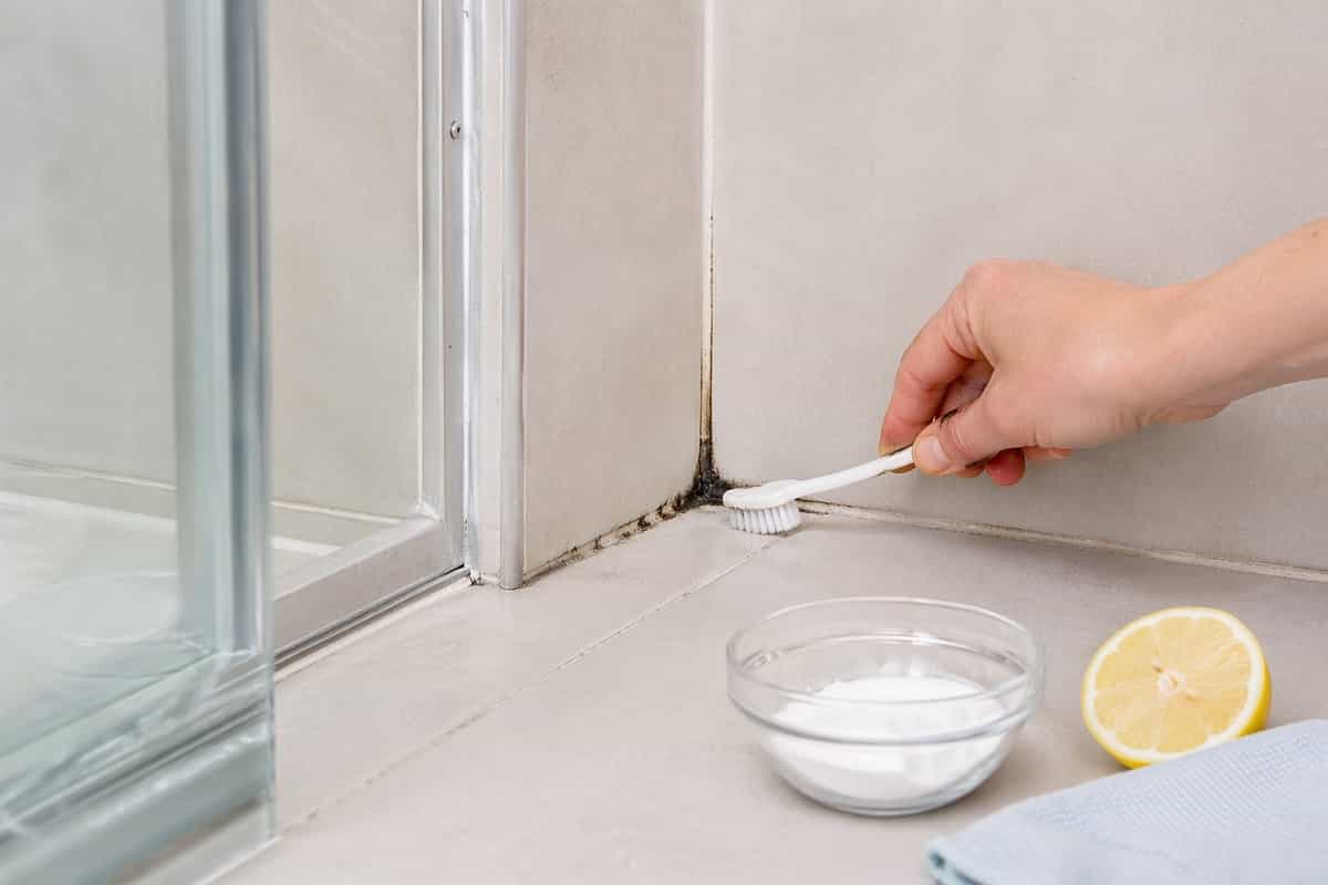 Scopri perché le fughe del box doccia diventano nere e come eliminarle definitivamente con metodi efficaci e naturali.