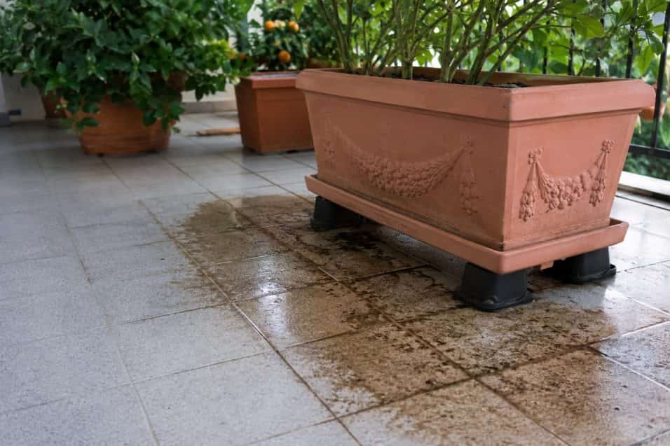 Le fioriere possono macchiare il pavimento con ruggine, terra, calcare e umidità. Ecco quali materiali rischiano di più e come evitare aloni difficili.