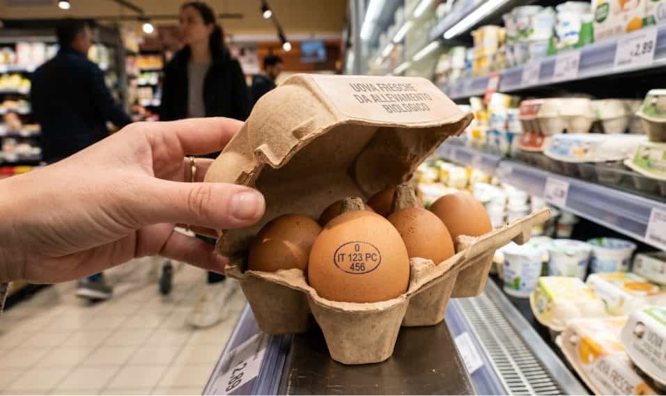 Una mano apre una confezione di uova in cartone al supermercato, mostrando un uovo in primo piano con il codice stampato sul guscio