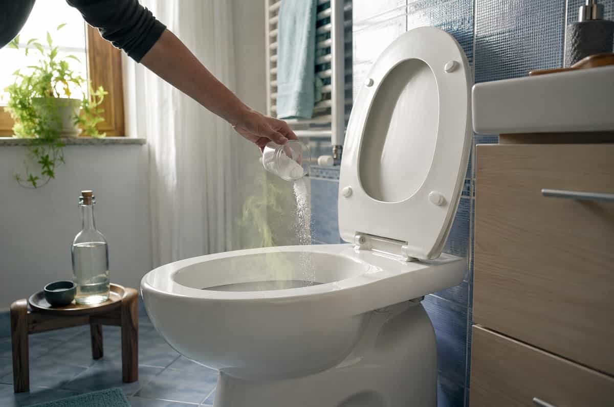 Cattivo odore dal WC che torna sempre? Scopri perché risale dallo scarico, quando dipende da tubature, fognatura o aria e come usare il bicarbonato nel modo giusto.