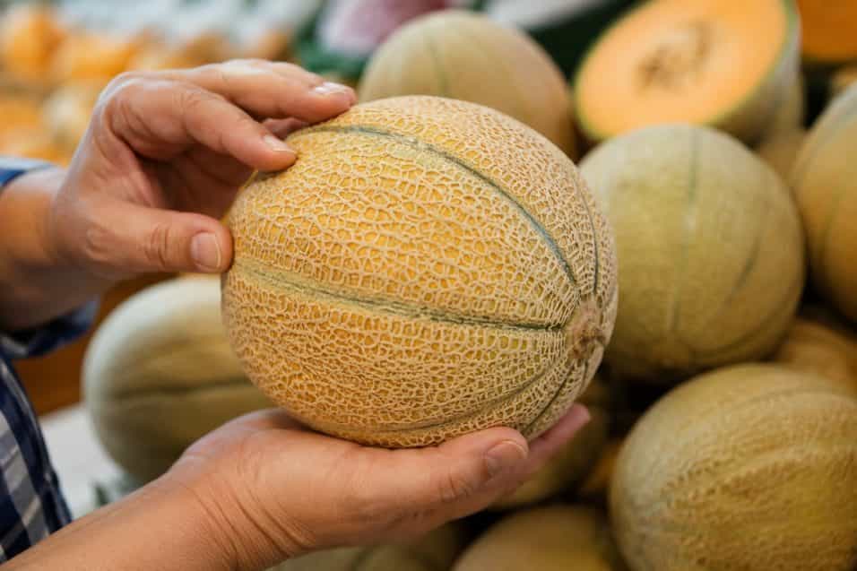 Melone retato, come scegliere quello giusto: i segnali da guardare su buccia, rete, profumo, peso e consistenza per capire se è dolce e maturo.